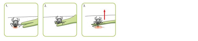 Anwendung Zecken-Karte Anwendung Zeckenkarte: 1.Karte an die Zecke schieben 2. Zecke treffen 3. Zecke herausziehen